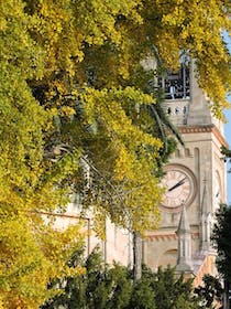 Explore the Church of San Lorenzo