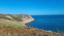 Explore Berry Head's stunning coastal views