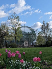 Feel tropical at Les Serres d'Auteuil