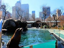 See Wildlife in the Heart of the City at Central Park Zoo