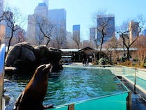 See Wildlife in the Heart of the City at Central Park Zoo