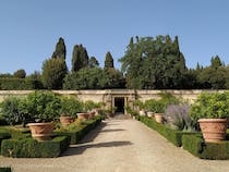 Explore the gorgeous renaissance garden at Villa di Castello