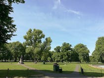 Explore Clapham Common