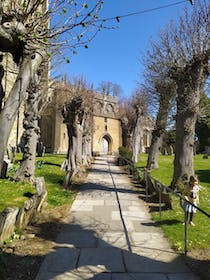 Explore the peaceful Ernest Wilson Memorial Garden