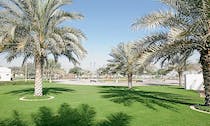 Explore Al Quoz Pond Park