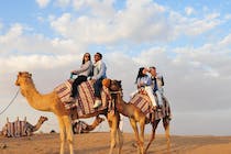 Experience the Premium Desert Safari Dubai