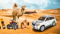 Experience the thrills of a Desert Safari