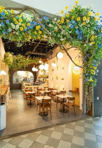 Nibble on hummus at Cafe Motek - Downtown