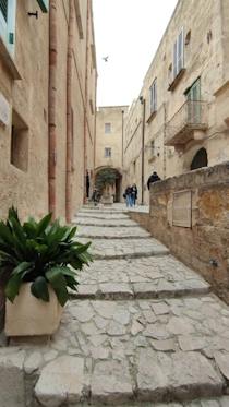 Discover Casa Noha's historic films