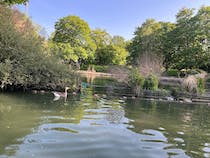 Enjoy a boat ride at Alexandra Palace Boating Lake