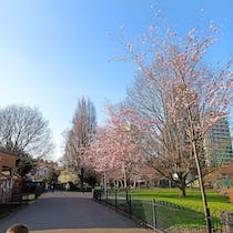 Relax in King George's Park