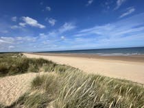 Explore Holkham National Nature Reserve