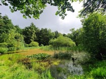 Explore the Natural Beauty of Holt Country Park