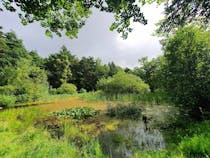 Explore the Natural Beauty of Holt Country Park