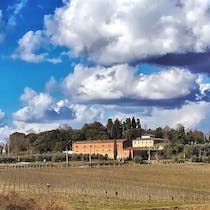 Explore Fattoria Santa Vittoria Winery and Farm