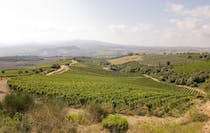 Taste the exceptional wines of Azienda Agricola Casanova di Neri