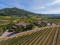 Experience the authenticity of Capanna Winery