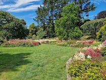Explore the tranquil Marwood Hill Gardens