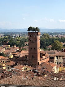 Climb the Clock Tower