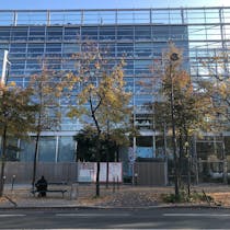 Take in an exhibition at la Fondation Cartier