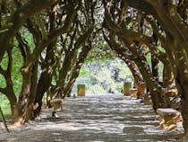Explore Parco Comunale di Gambassi Terme