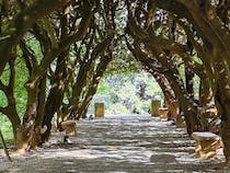 Explore Parco Comunale di Gambassi Terme