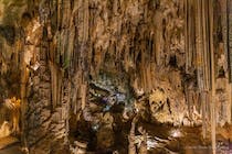 Explore the enchanting Cueva de Nerja