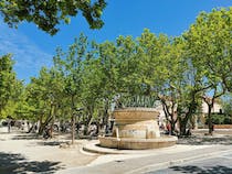 Find some solace at Place des Lices