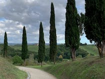 Take a stroll in Canonica Hill Park