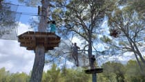 Experience the Thrills at TirolinasGo Mallorca Forestal Park