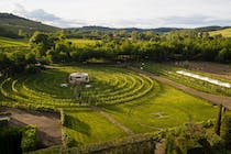 Taste Tuscan wines and delights at Tenuta Torciano