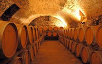 Taste exquisite wines at Fattoria Casa Sola