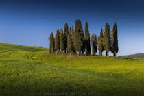 Take in the iconic Cipressi di San Quirico d'Orcia