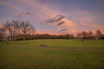 Explore the Natural Beauty of Streatham Common