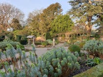 Explore the Serene Rookery Gardens