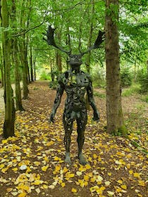 Explore Cotswold Sculpture Park
