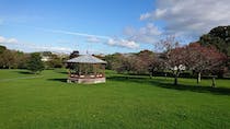 Take a stroll around Courtenay Park