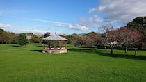 Stroll Around Courtenay Park