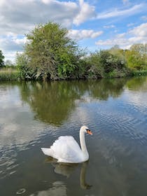 Explore Riverside Park