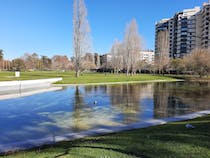 Explore the Quintas das Conchas e dos Lilases Park
