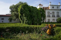 Explore the Museum of Lisbon
