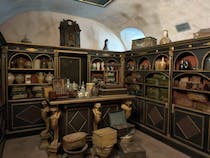 Explore the fascinating history of medicine at Museo di Storia della Medicina