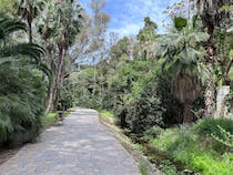 Explore Parque de las Ranas