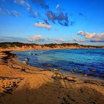 Explore the Nature Reserve of Torre Guaceto