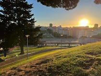 Explore Alameda Park