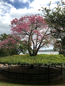 Enjoy the park and cultural heritage at Jardim 9 de Abril