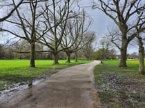 Relax and Explore Acton Park