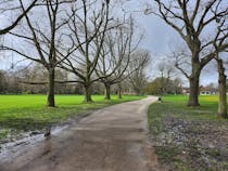 Relax and Explore Acton Park