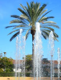 Relax in Parque de la Constitucion