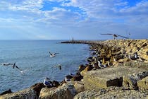 Explore Puerto Pesquero de Estepona